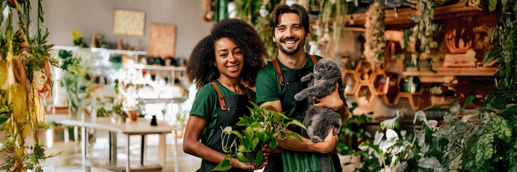 Imagem de destaque do artigo